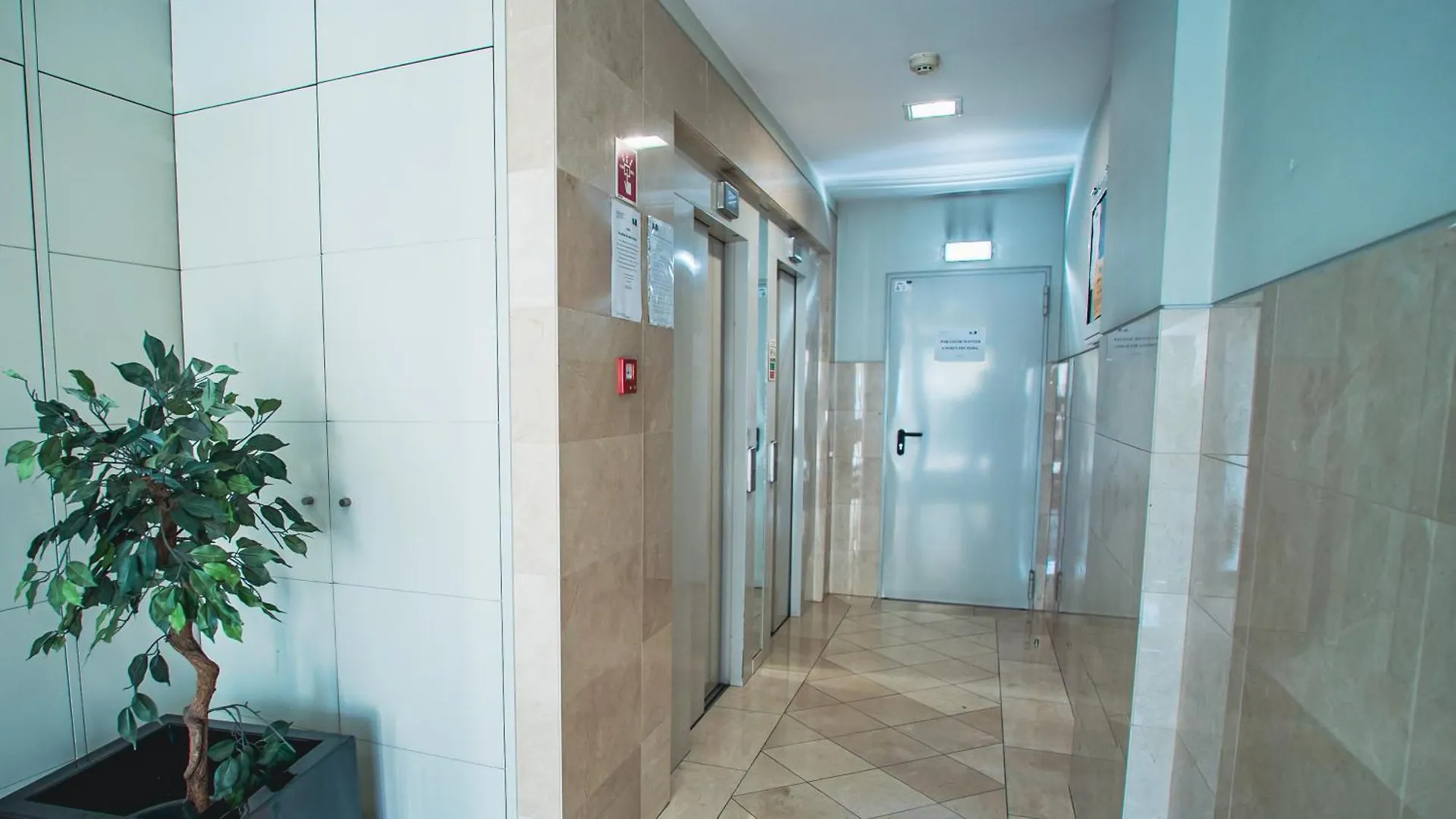 Madeira Luxury Amparo Apartment Funchal